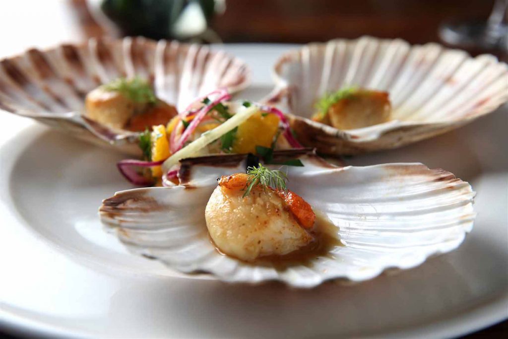Rye Scallop Week