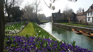 Westgate-gardens The Falstaff