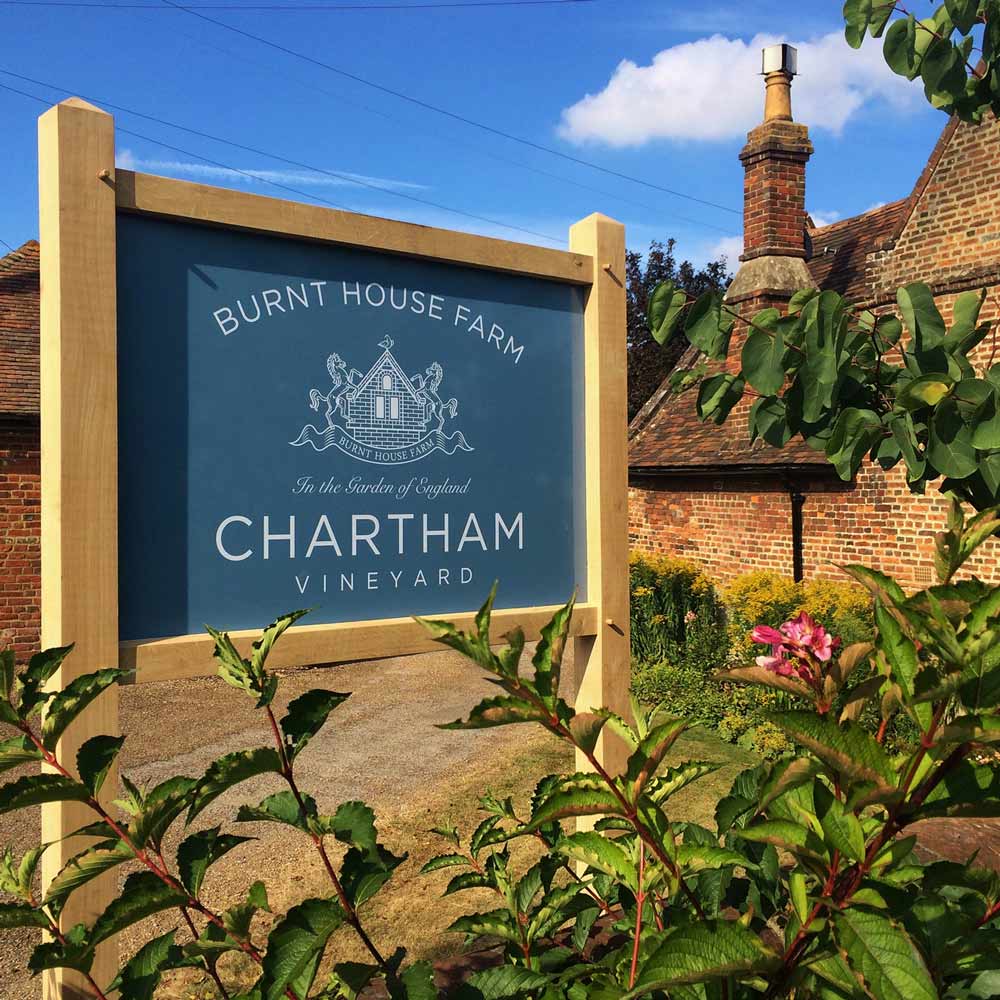 Chartham vineyard